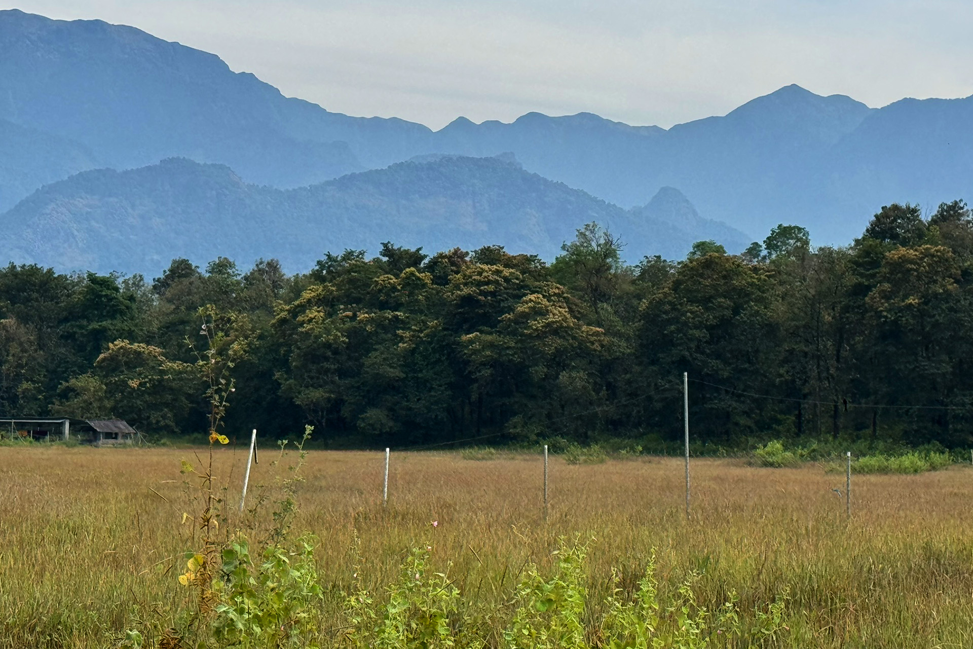 Conservation Rooted in the Landscape