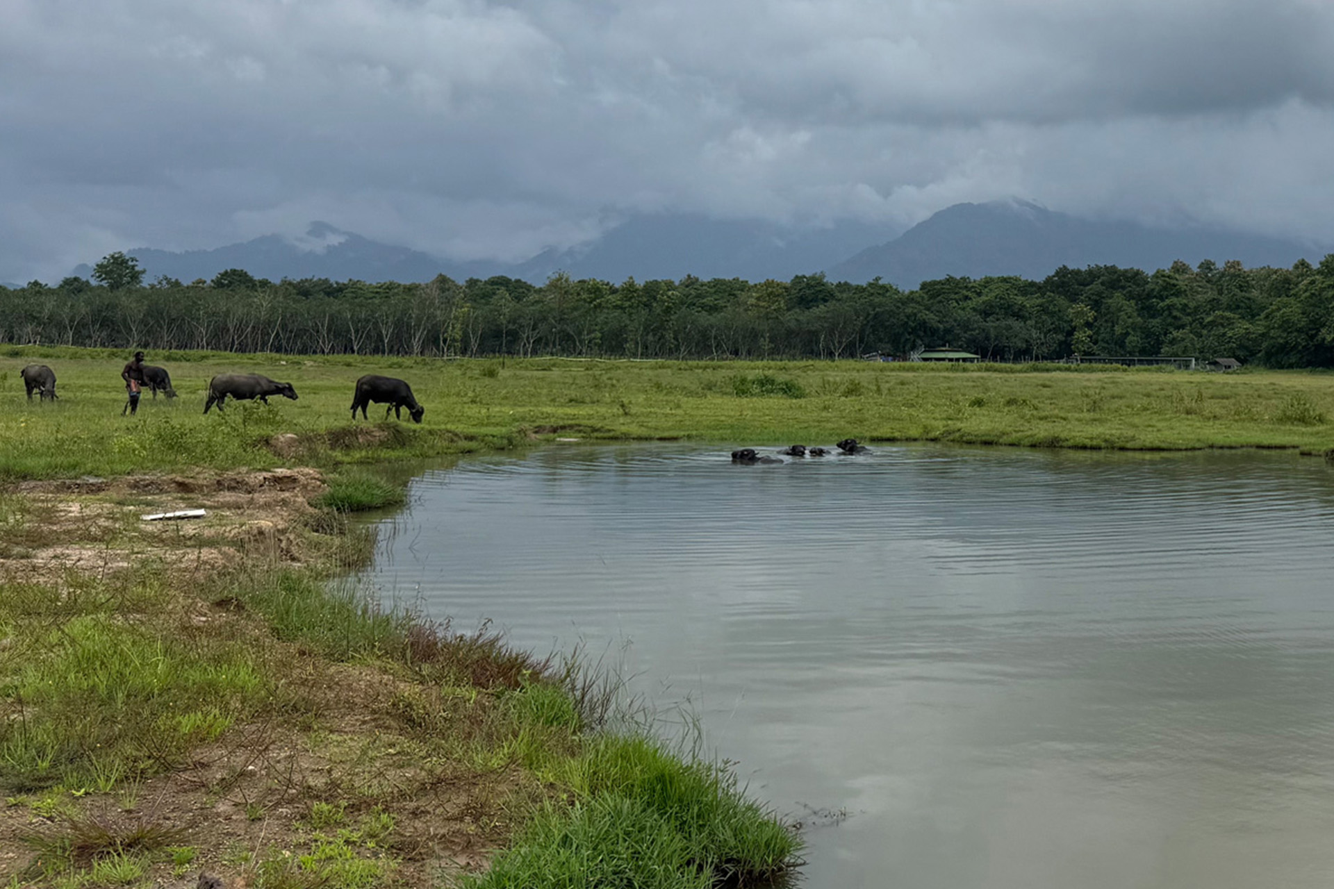 Conservation Needs More Than Protected Forests
