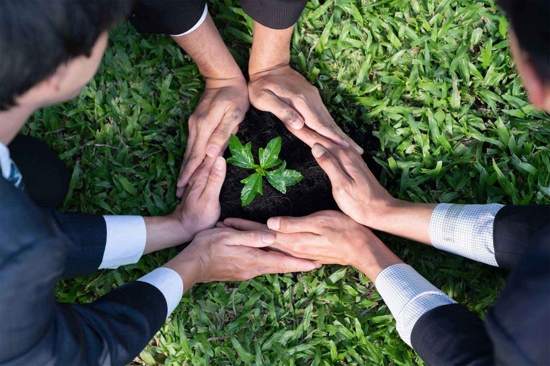 Conservation Is Stronger Together