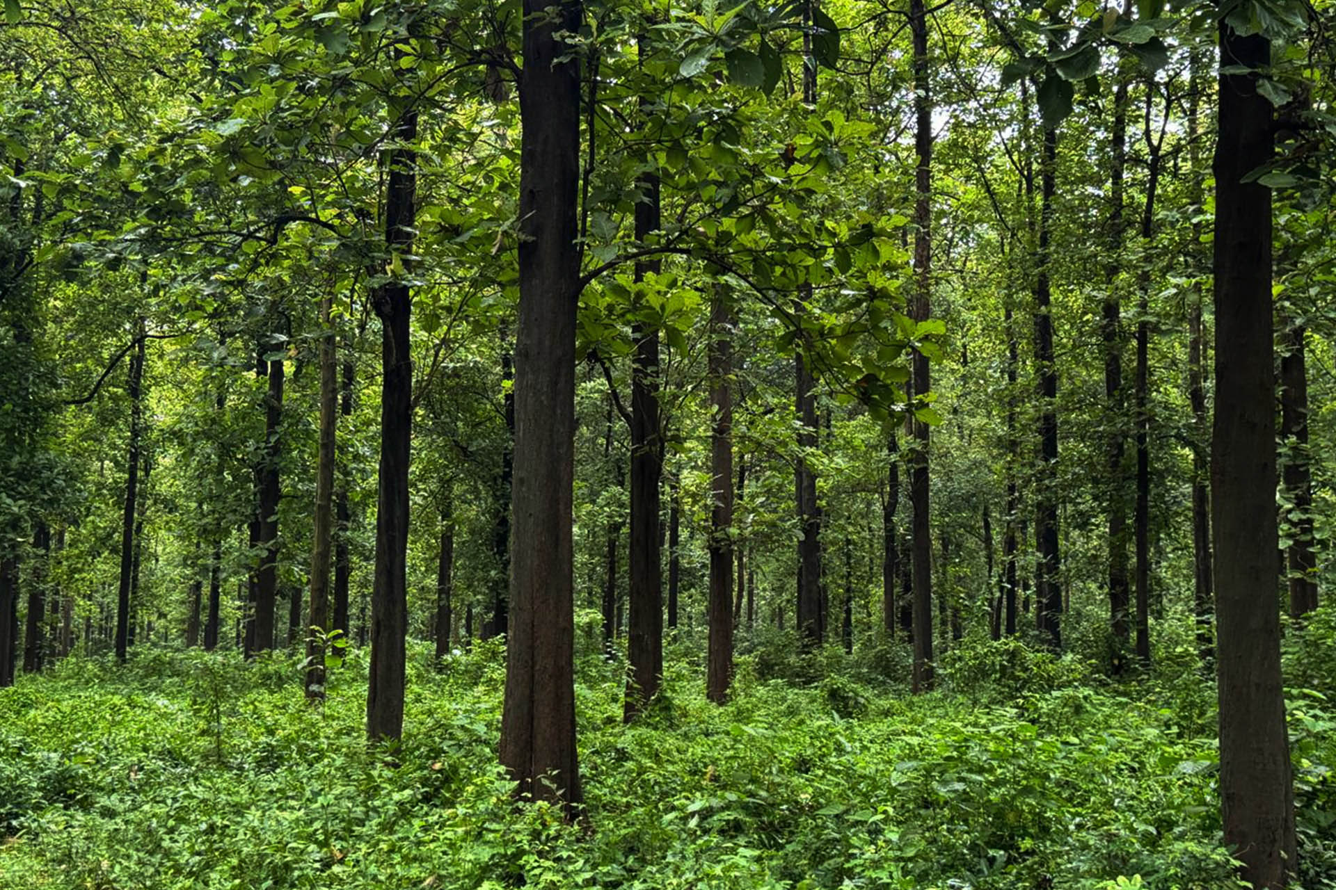 Protecting Nature Through Practical Action