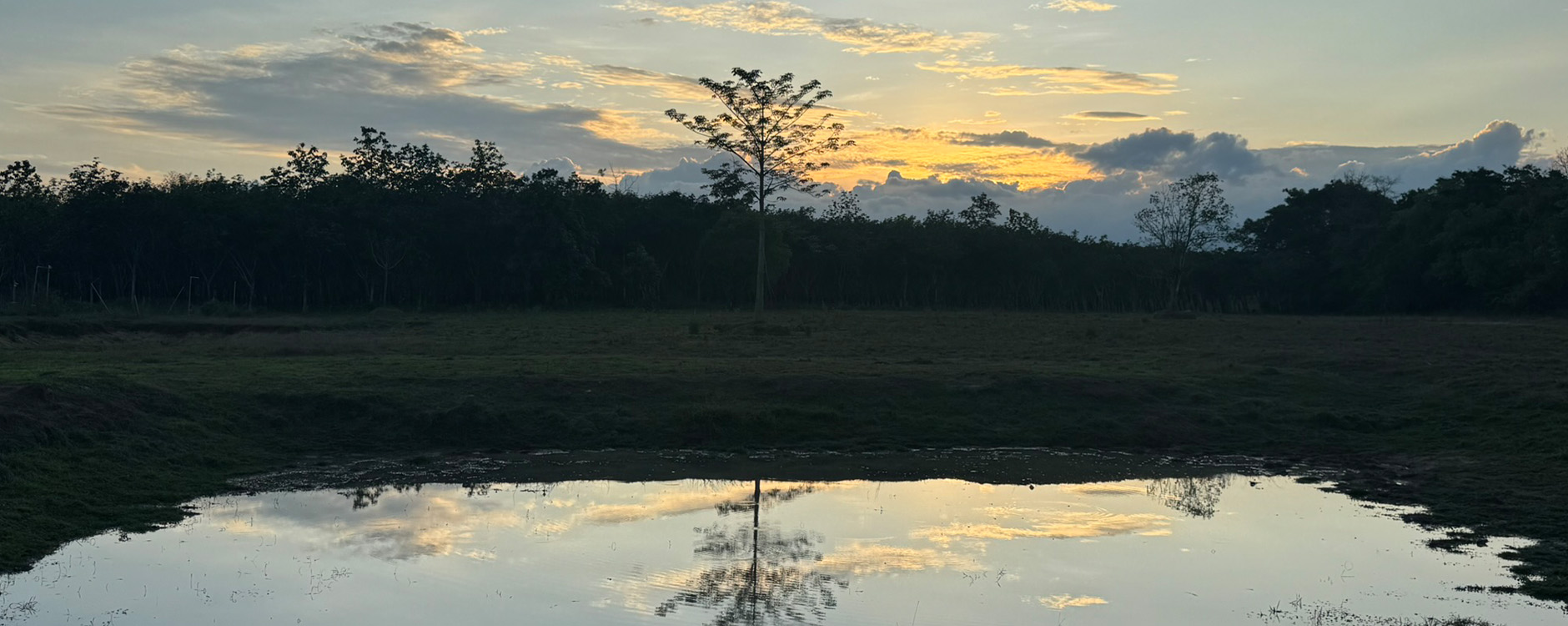 Helping Natural Systems Recover