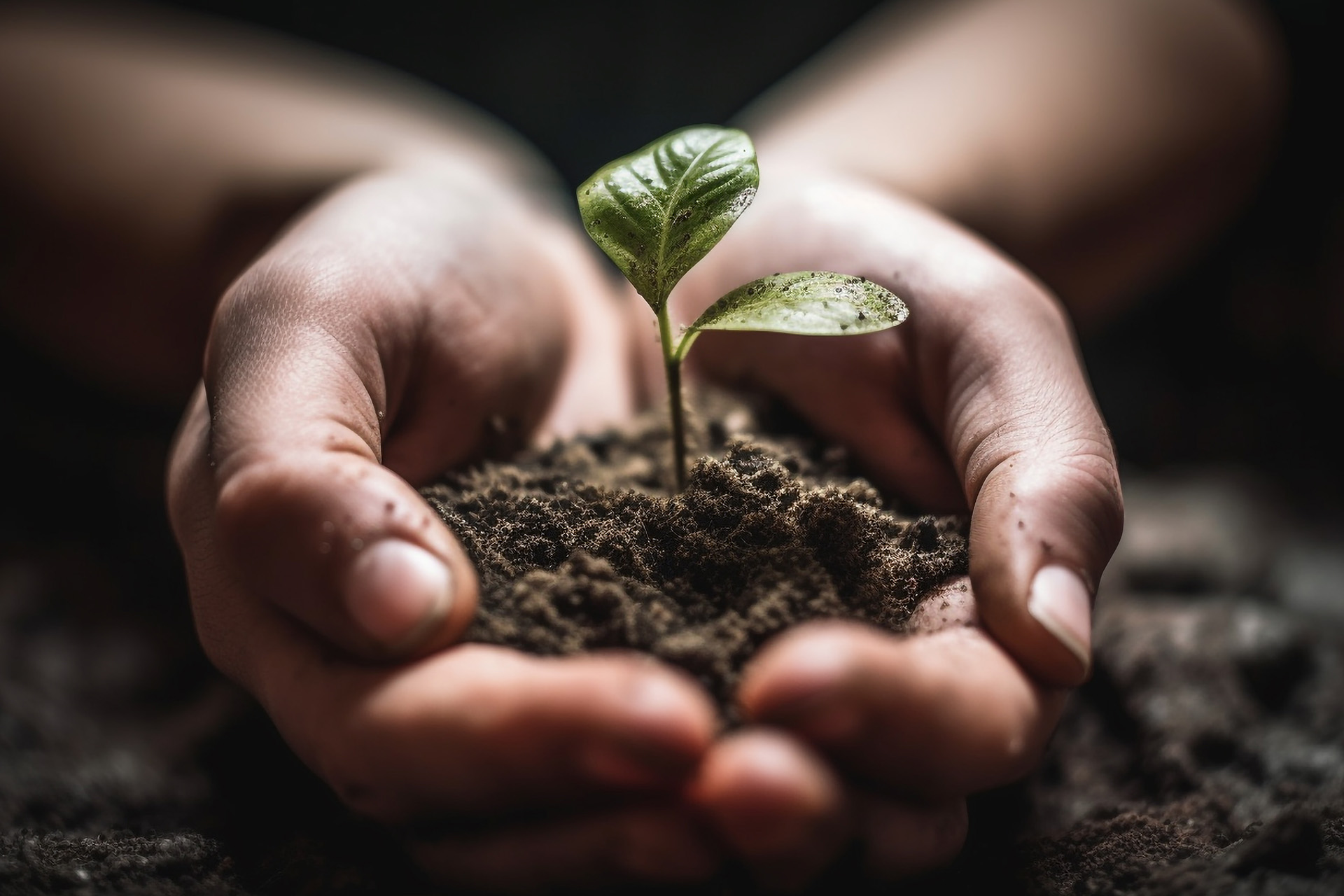 Community Conservation Is Built Through Trust
