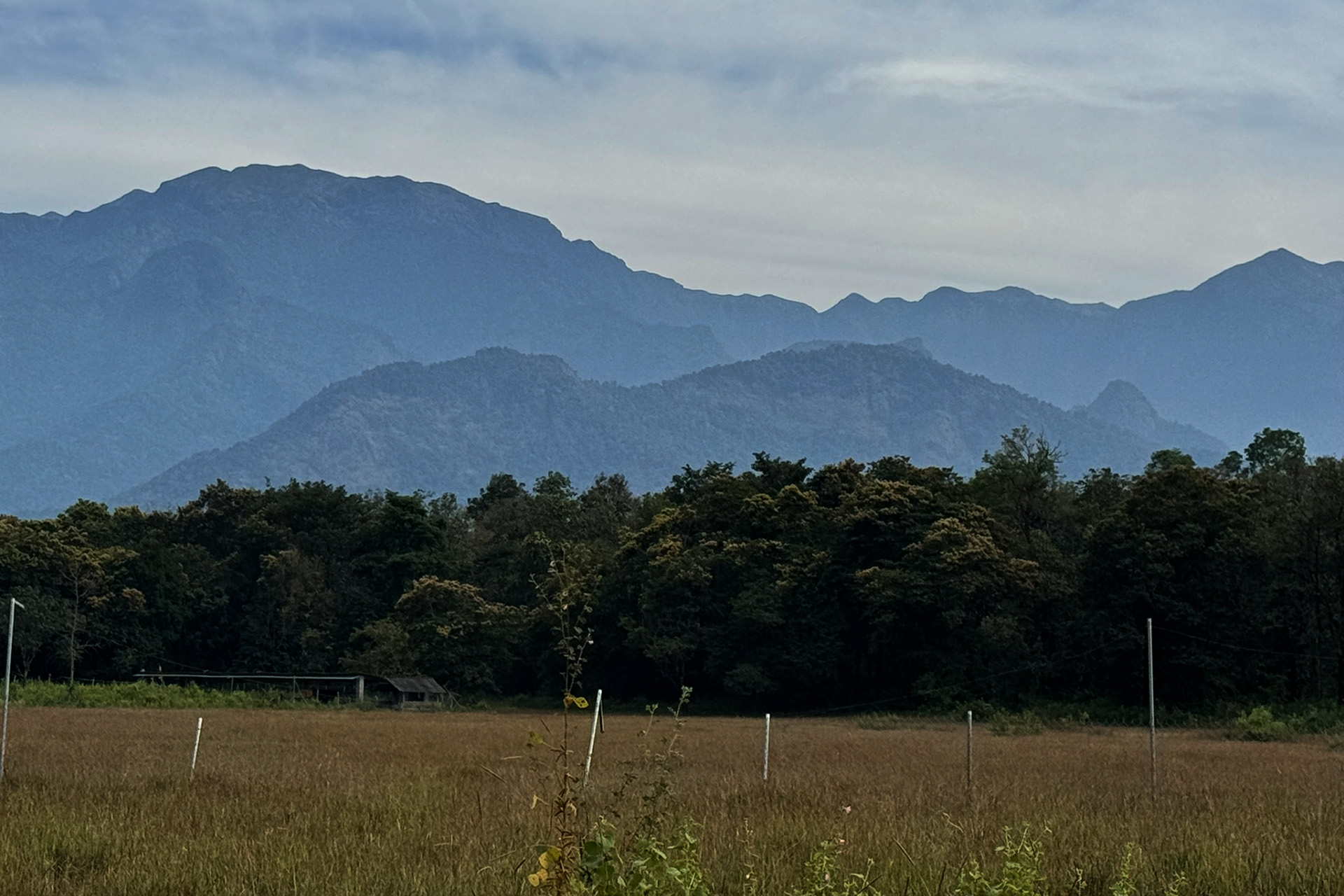 Supporting the Future of Conservation
