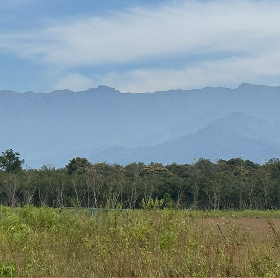 Large and Connected Landscapes