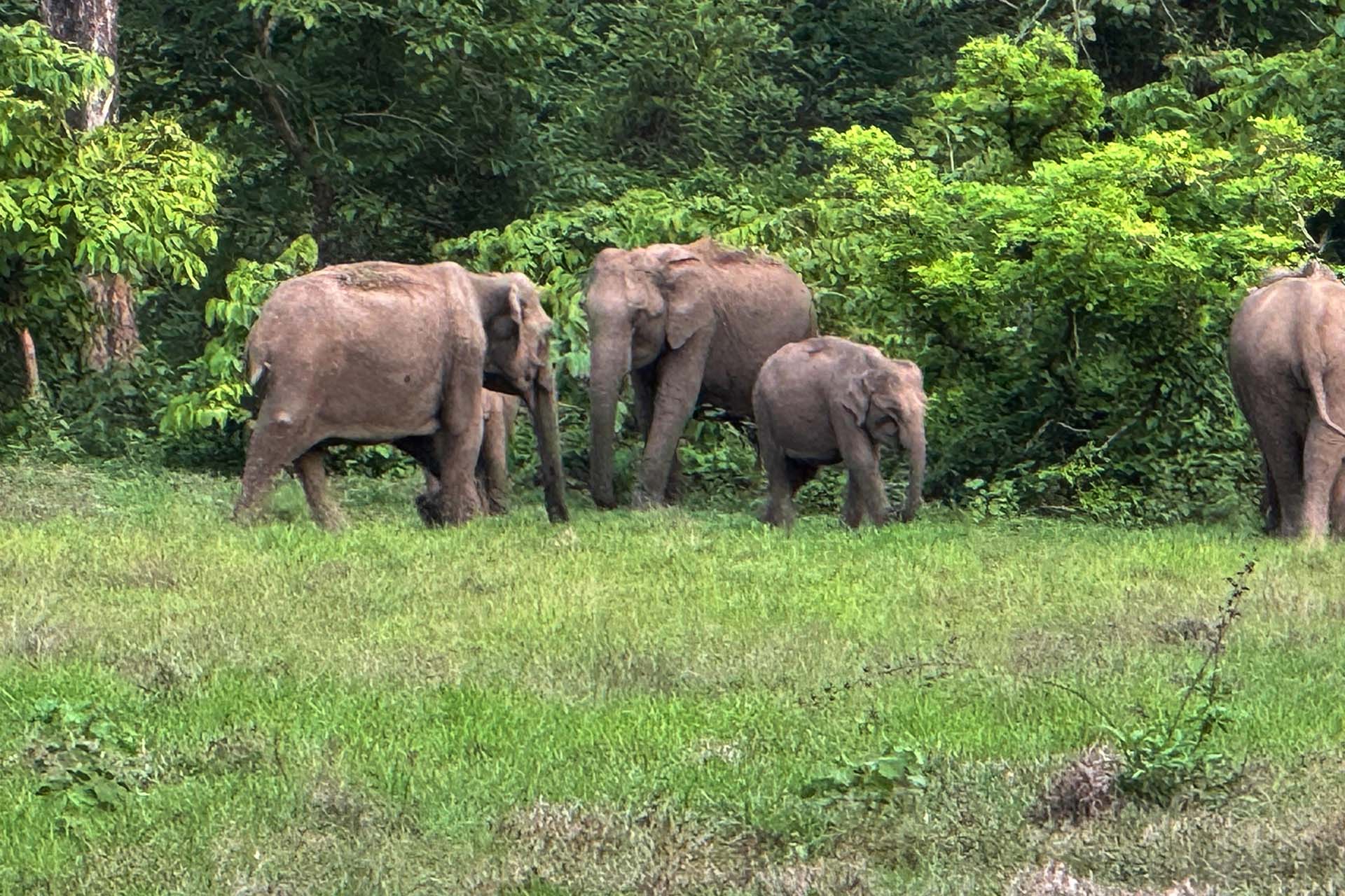 Improving Suitable Habitat Conditions