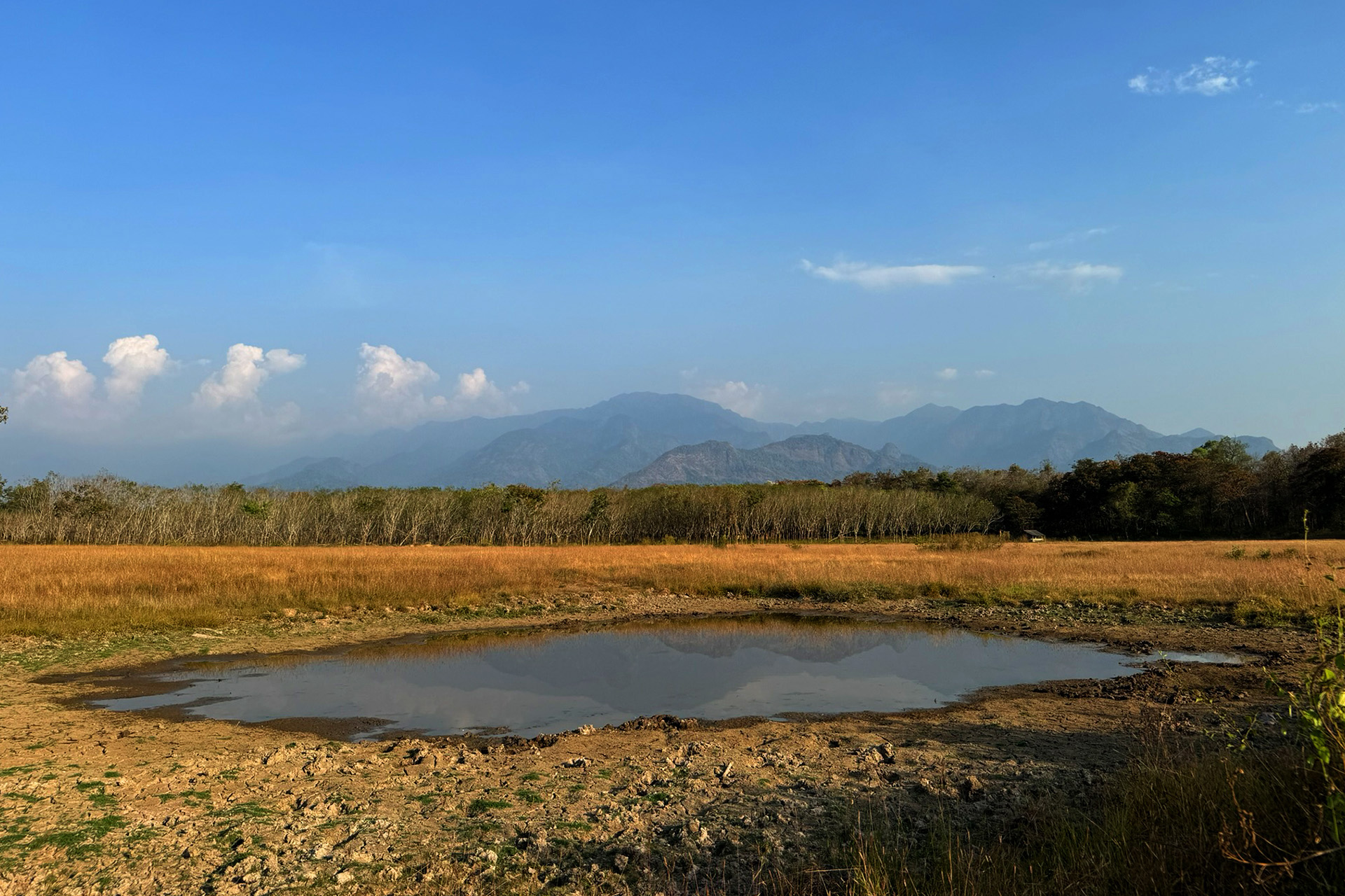 Low Impact, Conservation First
